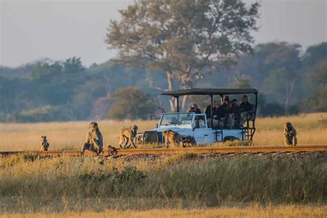 The Only Zimbabwe Safari You Should Ever Take