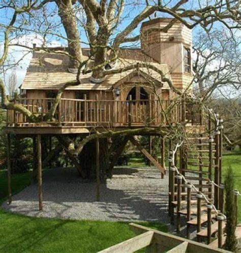 39 Amazing Tree Houses Everyone Wished They Had Growing Up Beautiful