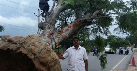 This Man From Hyderabad Saves Around 5000 Trees By Relocating Them