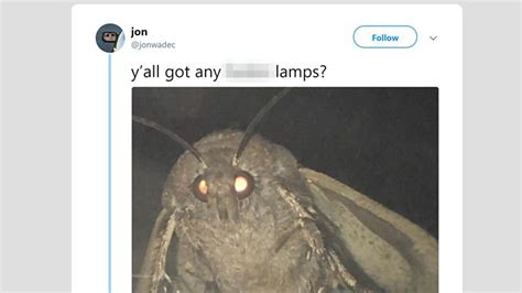 why does everybody love moth memes bbc three