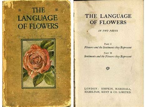 The Secret Language Of Flowers Readers Digest