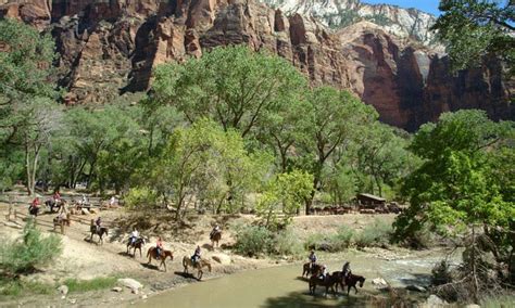 Zion Horseback Riding Horse Trail Rides Alltrips