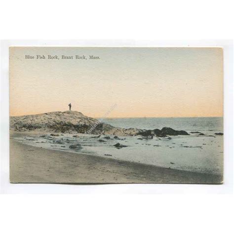 Blue Fish Rock Brant Rock Massachusetts Vintage Postcard