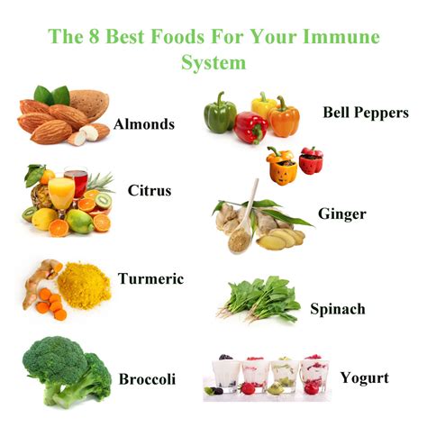 Below are a few foods that should avoid to have a good immune system Natural Home Remedies Strong Immune System | Natural Cures ...