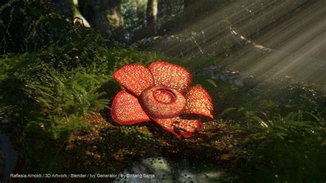 Rafflesia Arnoldi Insects Fruit Nature Naturaleza Nature