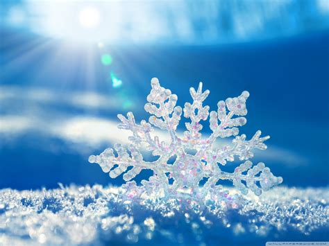 Winter Snowflakes Wallpaper 42 Images