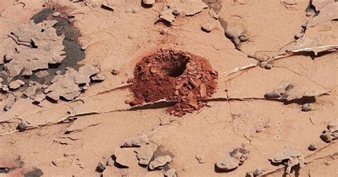 La Vie Extraterrestre A été Découverte Sur Mars Affirme