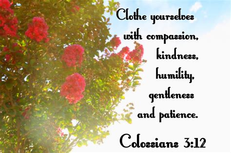 Bible Quotes And Images Of Compassion Quotesgram