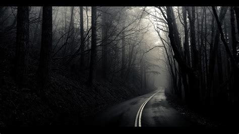 Black And White Landscapes Trees Fog Mist The Mist Roads Monochrome