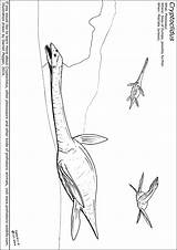 Colouring Liopleurodon Prehistoric Cryptoclidus Marine Printable sketch template