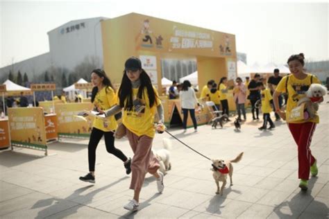 I had never thought of basing a pets name from japanese food but i love some of the names you have included here! Chinese Online Pet Food Brand Crazy Dog Gets $43M In ...