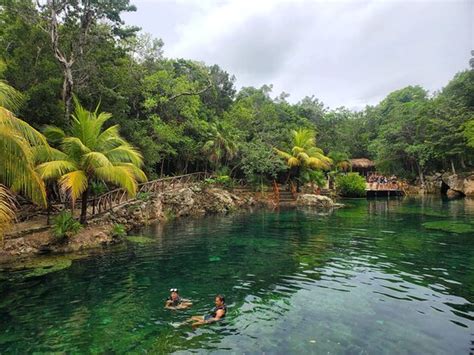 Cenotes Casa Tortuga Tulum 2020 Lo Que Se Debe Saber Antes De Viajar
