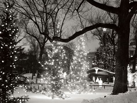 Black And White Christmas Pictures Wallpapers9