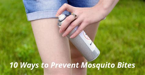 10 Ways To Prevent Mosquito Bites Georgia Mosquito Control