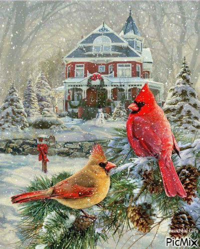 Snow Cardinals Picmix