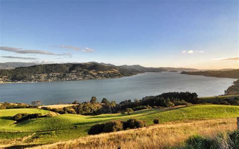 Top Things To Do In Dunedin New Zealand What To Do In