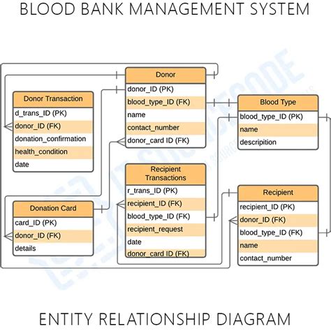 Sample Er Diagram Of Blood Bank Management System Printable Templates