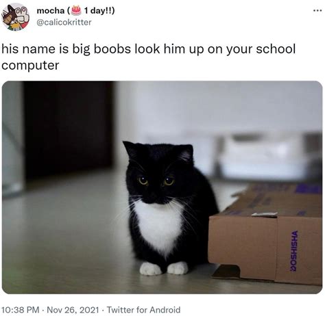 His Name Is Big Boobs Look Him Up On Your School Computer His Name Is