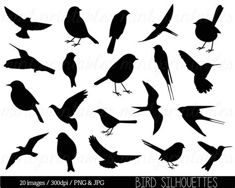 Bird Silhouette