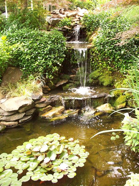 Get inspired to make a diy pond with ideas and tips for a waterfall. My pond is the focal point of my back garden. The water ...