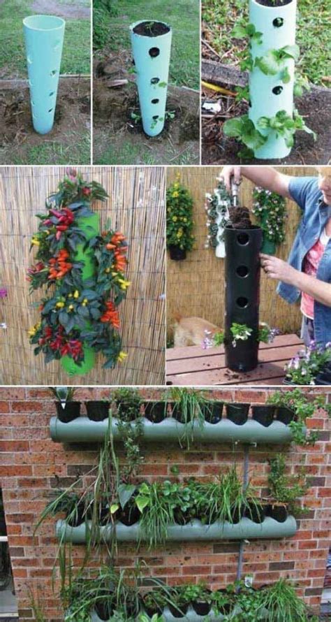 Top 20 Low Cost Diy Gardening Projects Made With Pvc Pipes Amazing