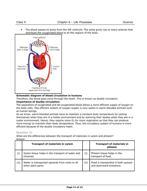 Ncert Solutions For Class Science Chapter Life Processes Class My Xxx