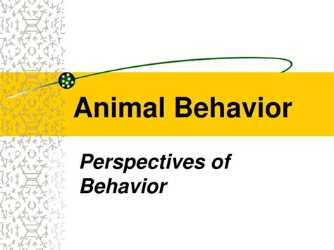 Ppt Animal Behavior Powerpoint Presentation Free Download Id9273196