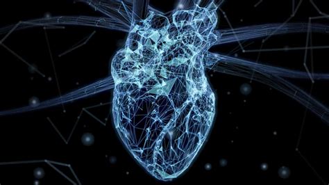 Científicos Crean Una Pieza Del Corazón Humano En Miniatura Y ¡late