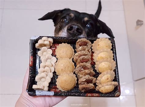 Not your ordinary cny treats! feed-my-paws-chinese-new-year-cookies - We live in a flat