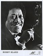 Bobby Bland Vintage Concert Photo Promo Print at Wolfgang's