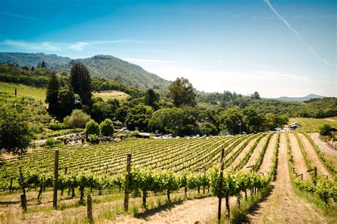 Best Wineries In The Russian River Valley Thirdhome