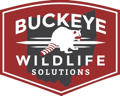 Our unmarked vehicles will keep your pest issue confidential. Buckeye Wildlife Solutions - Ohio Wildlife Control