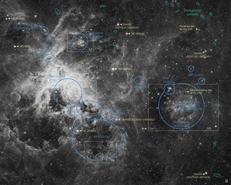 Cosmic Spider Amazing Tarantula Nebula Photos