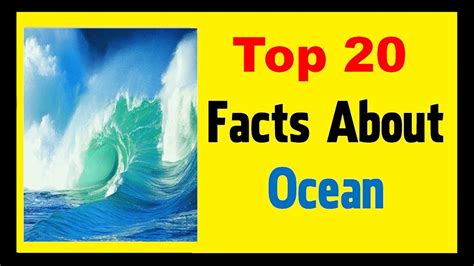 Ocean Facts Youtube