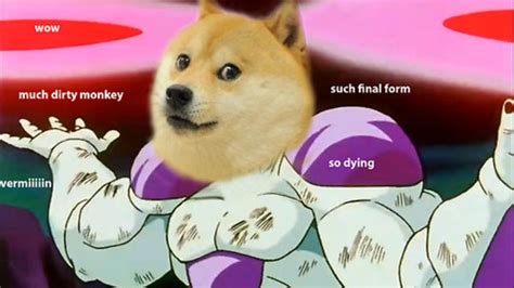 Image 654424 Doge Know Your Meme