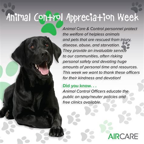 Animal Control Appreciation Week Animal Control Pet Care Animals
