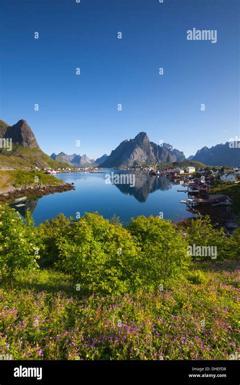 The Picturesque Fishing Village Of Reine Moskenesoy Lofoten Nordland