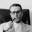 Der Mann, der den Zügen nachsah - von Georges Simenon