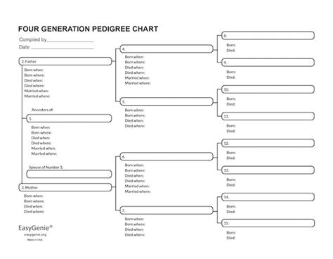 Large Print Genealogy Charts And Forms Kit 30 Sheets Easygenie