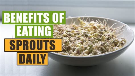 7 Health Benefits Of Eating Sprouts In The Morning Healthy Diet Youtube