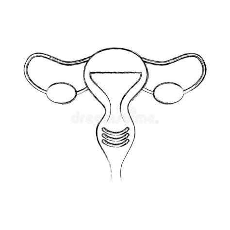 Icono Femenino Del órgano Reproductivo Ilustración del Vector Ilustración de médico fértil