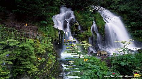 Charming Waterfalls Screensaver Free Popular Screensaver