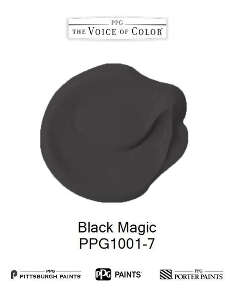 White knight splashes 100ml flat black water based interior paint. Black Magic - PPG1001-7 in 2020 | Trending paint colors ...