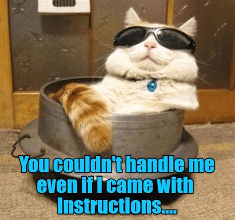 Top Memes Of The Week Cheezburger Users Edition I Can Has Cheezburger Funny Cat