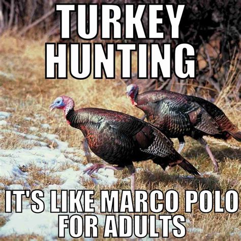 funny turkey memes for thanksgiving 2024