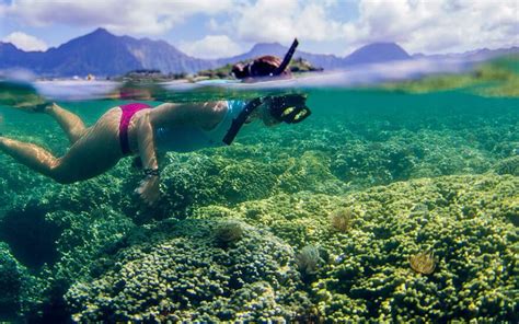 Top 10 Oahu Snorkeling Tours And Destinations Hijinks