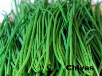 Do you know the difference between scallions vs green onions vs chives? Scallions vs Chives | Difference Between Chives and Scallions