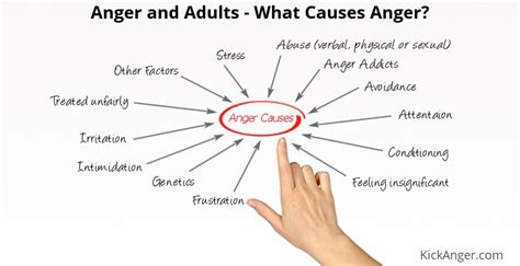 Anger And Adults What Causes Anger