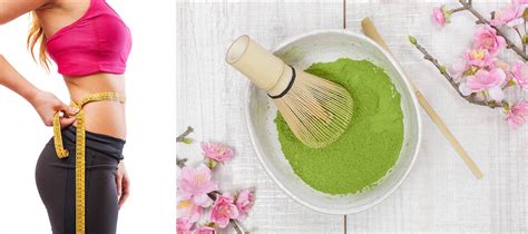 matcha tea for weight loss matcha outlet
