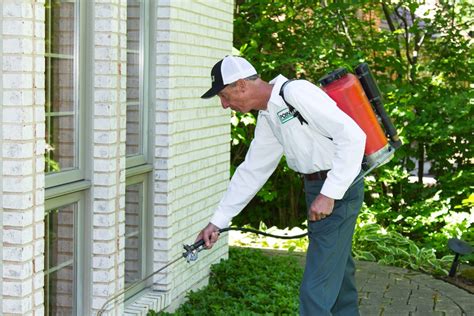 What Is Done During Maintenance Pest Control Treatments Pointe Pest
